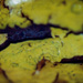  - topographical research IV