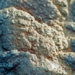  - topographical research III