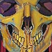 tattoo galleries/ - Reaper

