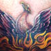 tattoo galleries/ - Bird