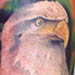 tattoo galleries/ - Eagle
 - 1714