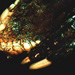  - postmortem