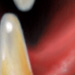 Tattoos - teeth 2 - 3118