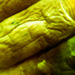  - postmortem