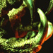  - postmortem
