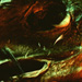  - postmortem