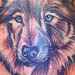 tattoo galleries/ - Wolf - 405