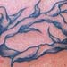 tattoo galleries/ - Thorns - 380