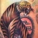 tattoo galleries/ - Tiger/Dragon tattoo rework - 460