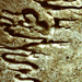  - postmortem