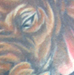 tattoo galleries/ - elephant - 21642