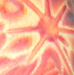 tattoo galleries/ - cosmic flora
