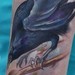 Tattoos -  - 39921