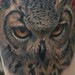 Tattoos -  - 39920