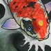 tattoo galleries/ - koi