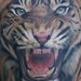 Tattoos - tigre - 49911