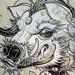 tattoo galleries/ - jabali - 62786