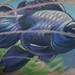Tattoos - telescopio - 49918