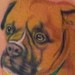 Tattoos - untitled - 47271