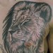 Tattoos - untitled - 47278