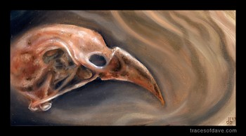 Dave Barton - Bird Skull Study