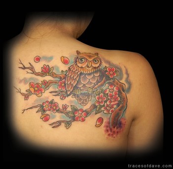 Dave Barton Owl perched upon Cherry Blossoms
