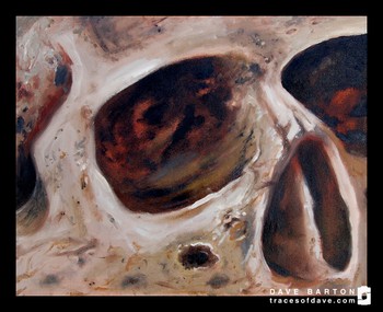 Dave Barton - Skull  Study
