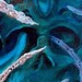 Tattoos - SHARKS! - 52177