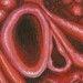 Tattoos - Alien Vagina - 41492