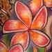 Tattoos - Plumerias and a Message - 49666