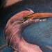 tattoo galleries/ -  - 38663