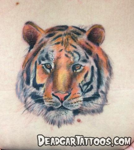 Tattoos - Tiger Tattoo - 70226