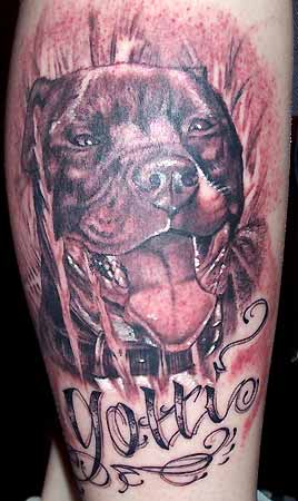 Tattoos Memorial Pitbull in Field Big Gus Pitbull in Field