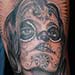 Tattoos - Day of the Dead face paint - 33710
