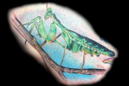 graceland tattoo kiosk tattoos diego praying mantis graceland tattoo kiosk tattoos diego praying mantis