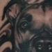 Dog Portrait Black and Grey Tattoo Design Thumbnail