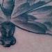 tattoo galleries/ - Dragonfly-Black and Gray