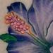 tattoo galleries/ - Healed Hibiscus Flower