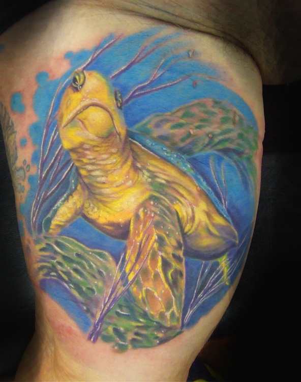 Tattoos - turtle turtle - 21614