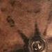 tattoo galleries/ - Clock