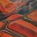 tattoo galleries/ - Oriental