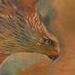 tattoo galleries/ - Hawk Rib Tattoo - 56136