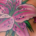 Tattoos - untitled - 24334