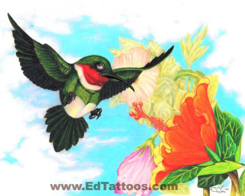 Tattoos - South american Colibri - 20555
