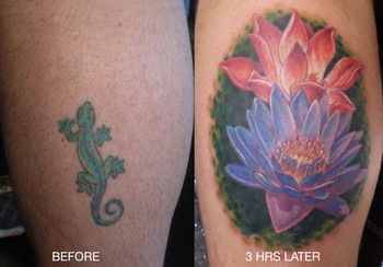 Eddie Loven - Gecko-B-Gone - Cover up - 6 inches - 2.5 Hours