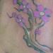 Tattoos - Cherry Blossoms - 5 inches- 1 hour - 53357