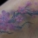 Tattoos - Cherry Blossoms - Freehand - 1.5 Hours - 47659