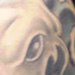 Tattoos - Koi 1/4 sleeve - 27458