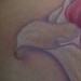 Tattoos - Special Bouquet - 3.5 inches - 2 Hours - 37443