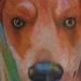 Tattoos - Dog Portrait - 6 inches tall - 2 hours - 53609